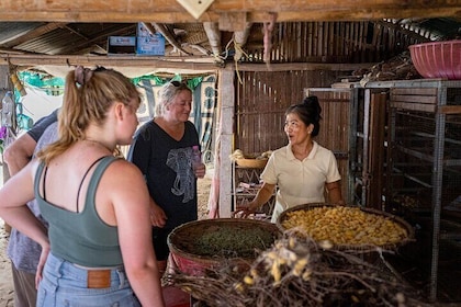 Phnom Penh to Silk Island By Tuk-Tuk with local Expert