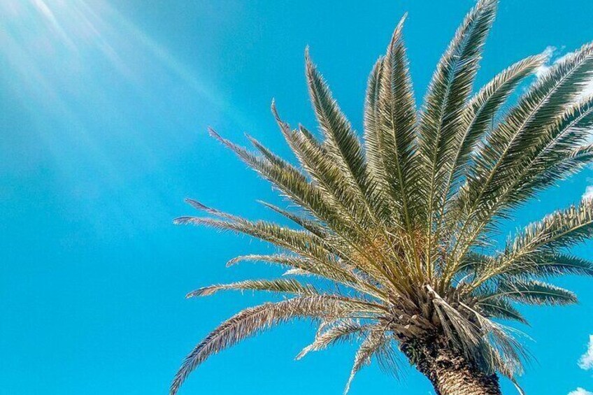 Keep your eyes peeled for Interesting flora and fauna as we head from Moolooolaba over to Alexandra Headland.