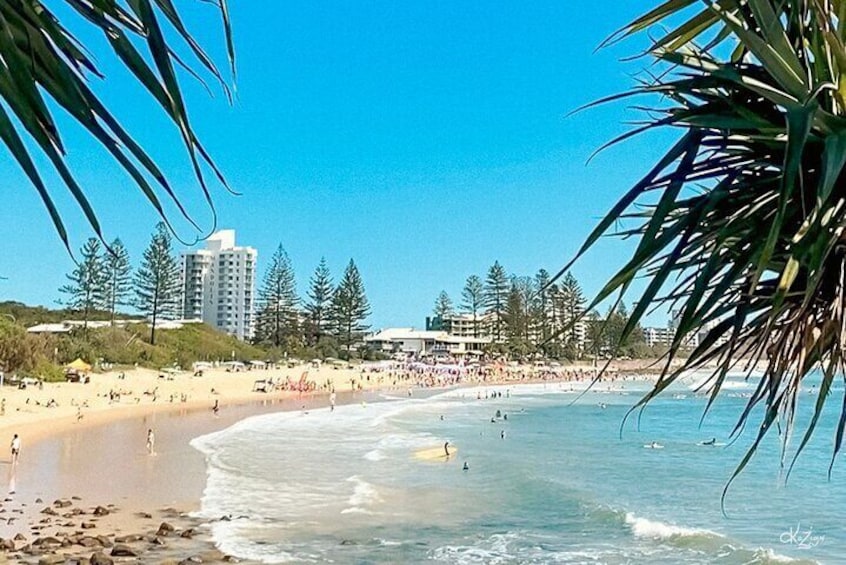 Alexandra Headlands provides sweeping views of the beach north to Maroochydore,