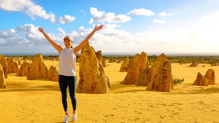 Pinnacles Desert Lobster & Yanchep Day Tour from Perth