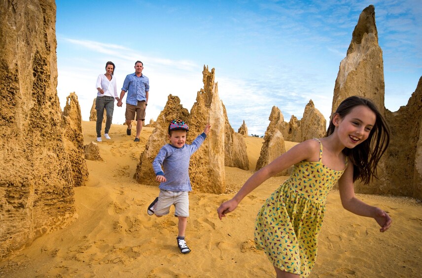 Pinnacles Lobster Lavender Day Tour from Perth
