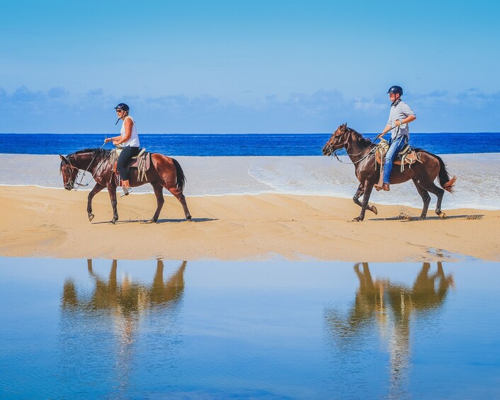 Horseback Riding at Los Cabos