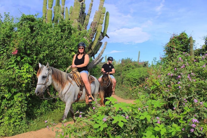 Horseback Riding at Los Cabos