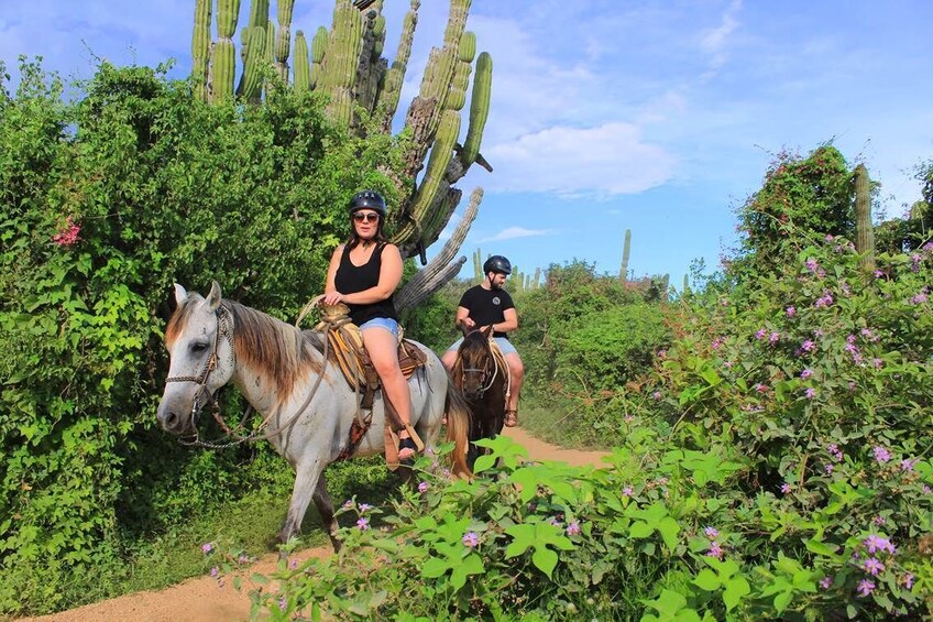 Horseback Riding at Los Cabos