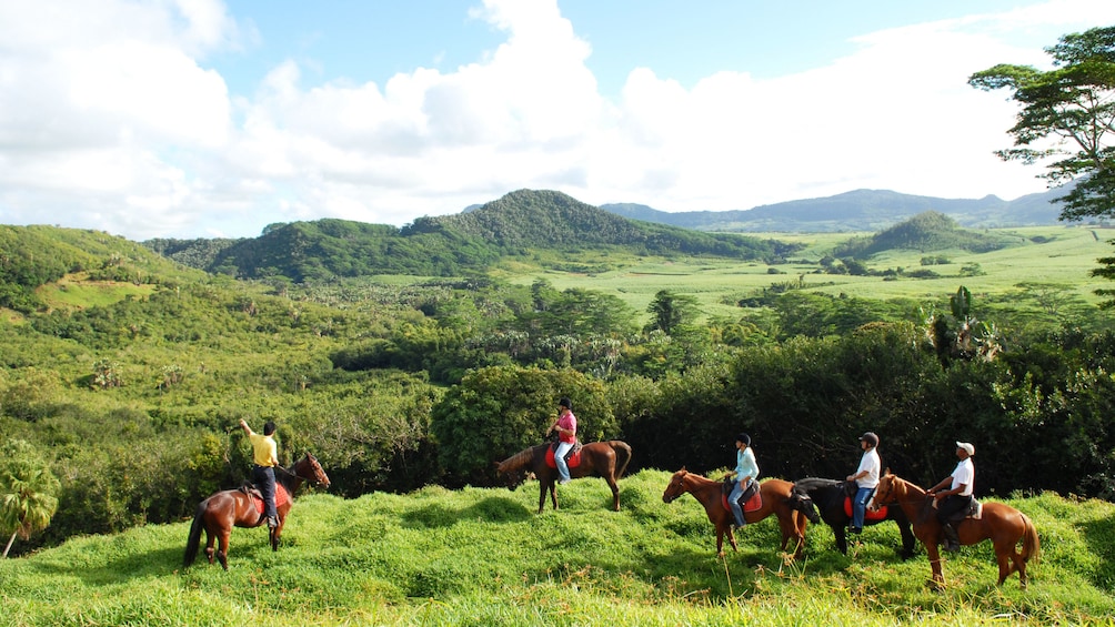 Charger l’élément 2 sur 5. Horse riding tour looking at view in Mauritius