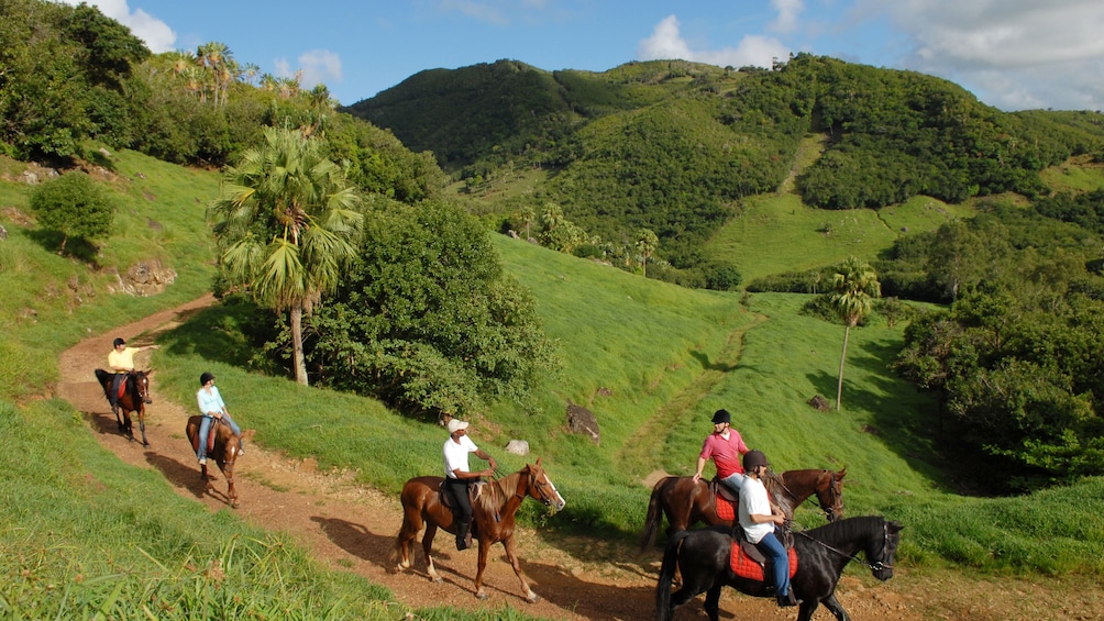 Charger l’élément 4 sur 5. Group follows tour guide on horseback down trail in Mauritius