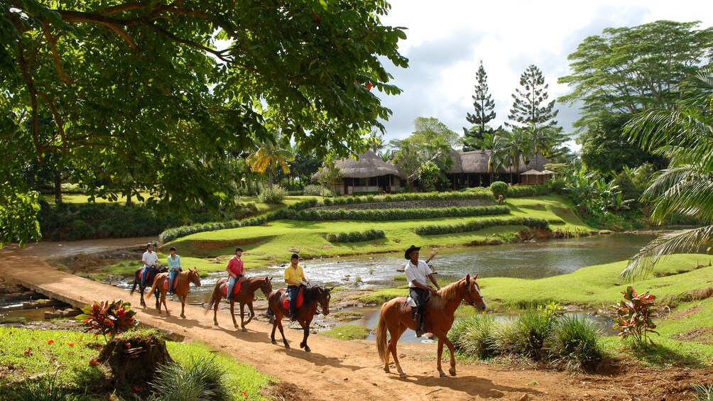 Charger l’élément 1 sur 5. Group riding over bridge in Mauritius