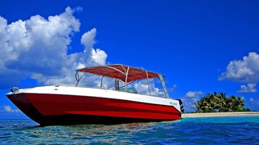 Full Day Private Boat Tour to the Lagoon of Guadeloupe