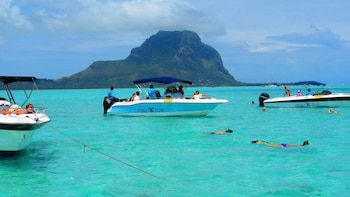 Full-Day Guided Snorkelling Tour of the West Coast with Lunch