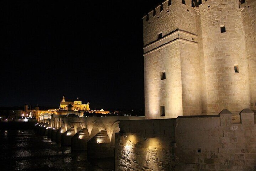 Cordoba Private Tour including visit to the Fortress