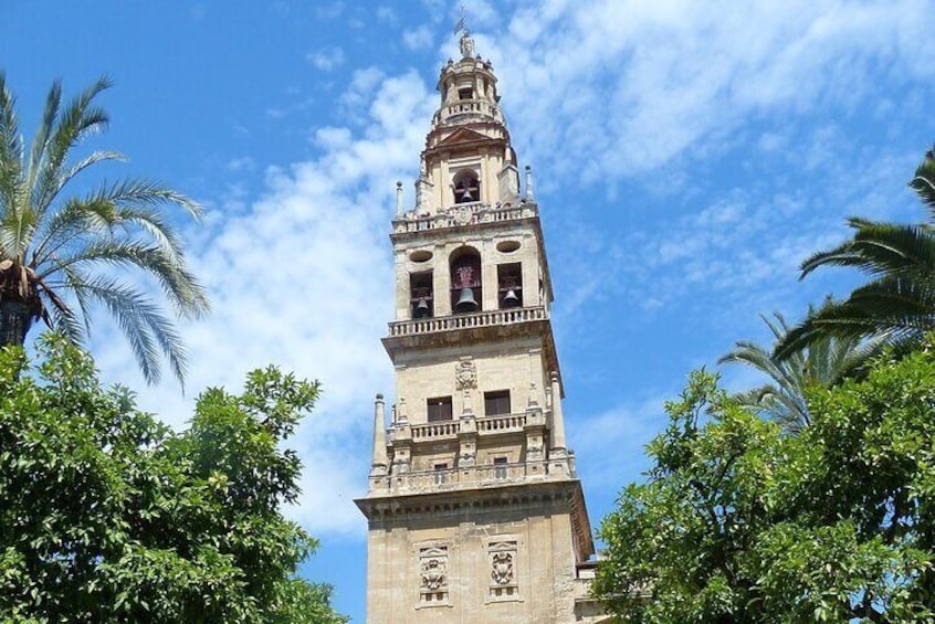 Cordoba Private Tour including visit to the Fortress