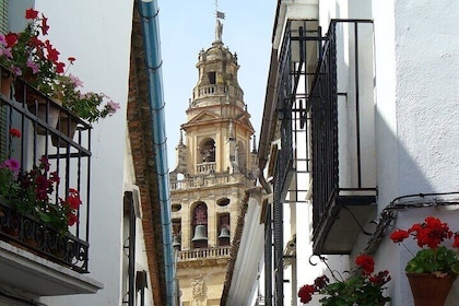 Cordoba Private Tour including visit to the Fortress