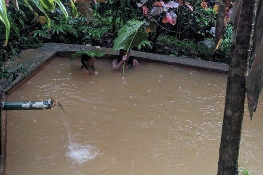 A Day of Relaxation in the Jungle and Waterfalls of Dominica