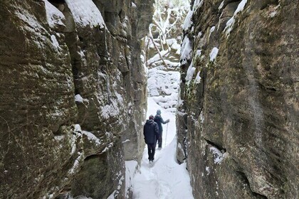 Private Schneeschuhwanderung zu den Nottawasaga Bluffs-Höhlen, Collingwood/...