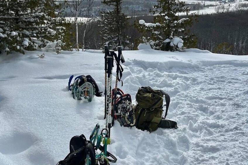 Private Nottawasaga Bluffs Caves Snowshoe, Collingwood/Creemore