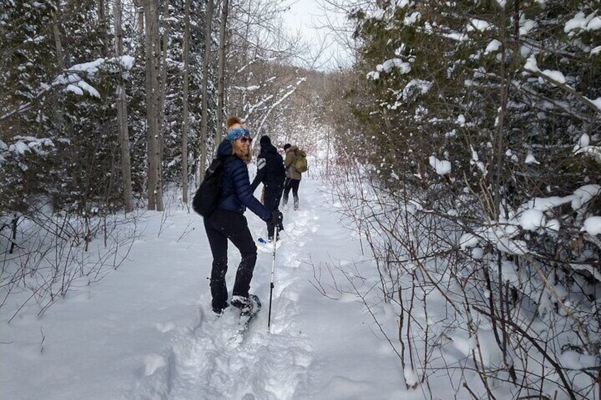 Private Nottawasaga Bluffs Caves Snowshoe, Collingwood/Creemore