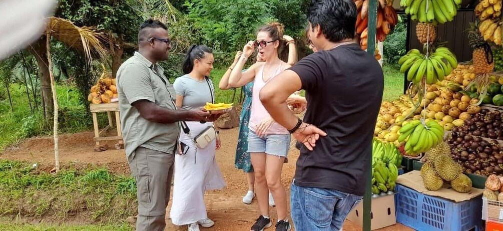 Picture 44 for Activity From Colombo: Sigiriya and Dambulla Day Trip and Safari