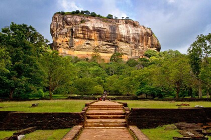 From Colombo: Sigiriya and Dambulla Day Trip and Safari