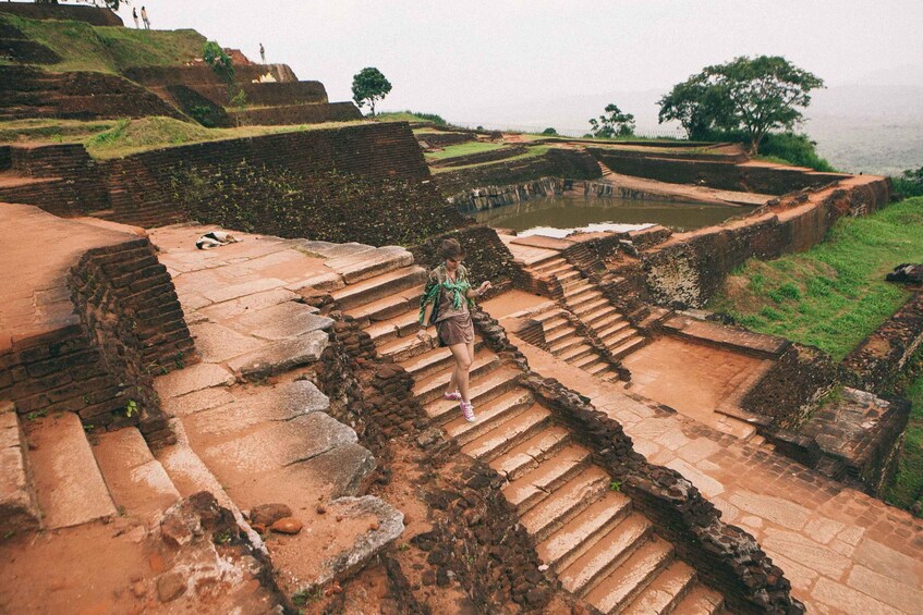 Picture 1 for Activity From Colombo: Sigiriya and Dambulla Day Trip and Safari