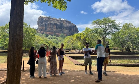 Von Colombo aus: Sigiriya und Dambulla Tagesausflug und Safari