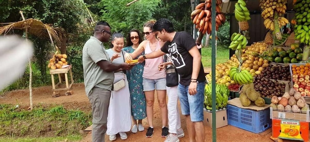 Picture 41 for Activity From Colombo: Sigiriya and Dambulla Day Trip and Safari