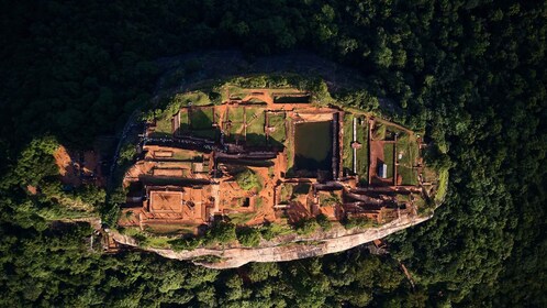 Vanuit Colombo: Sigiriya en Dambulla Dagtocht en Safari