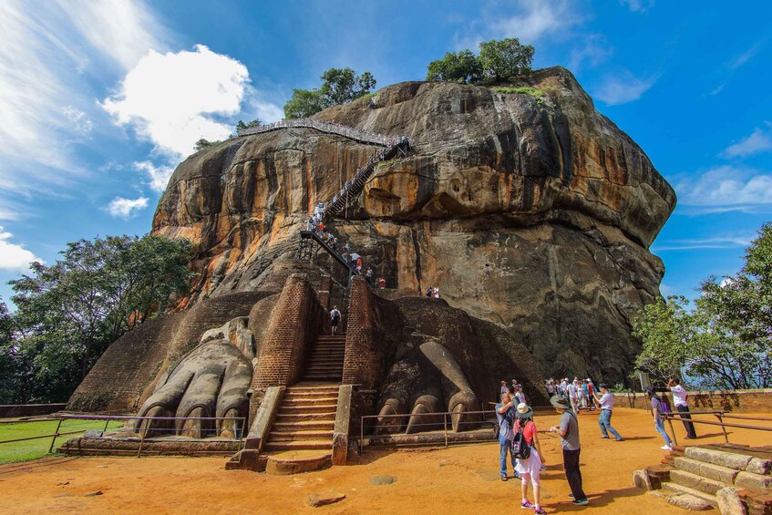 Picture 5 for Activity From Colombo: Sigiriya and Dambulla Day Trip and Safari