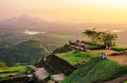 Desde Colombo: excursión de un día y safari a Sigiriya y Dambulla