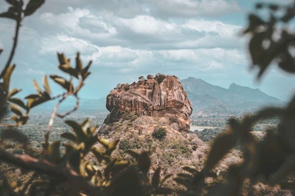 Fra Colombo: Sigiriya og Dambulla dagstur og safari