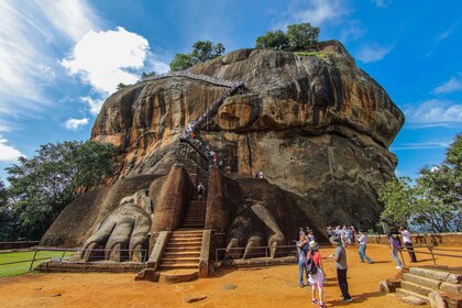 Från Colombo: Dagsutflykt och safari till Sigiriya och Dambulla