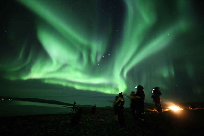 Picture 2 for Activity From Tromso: Northern Lights Photography Tour