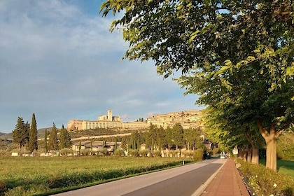 Private Spiritual Encounter with the Biblical Code in Assisi Italy