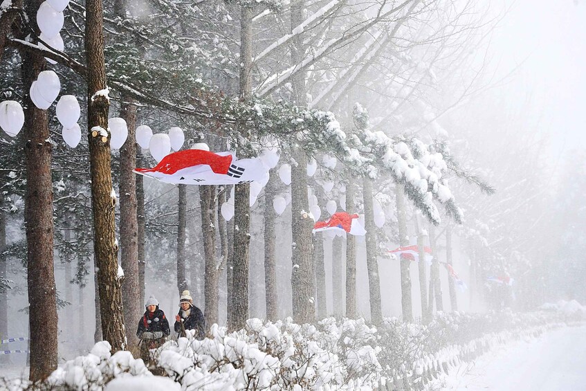 Picture 6 for Activity Seoul: Nami Island and Garden of Morning Calm (+Railbike)