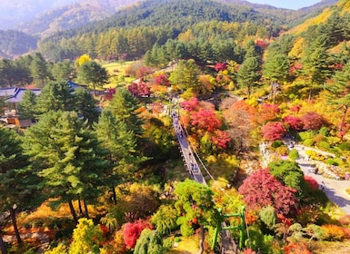 Från Seoul: Nami Island, Morning Calm Garden & Rail Bike