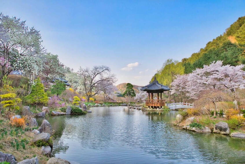 Picture 13 for Activity Seoul: Nami Island and Garden of Morning Calm (+Railbike)