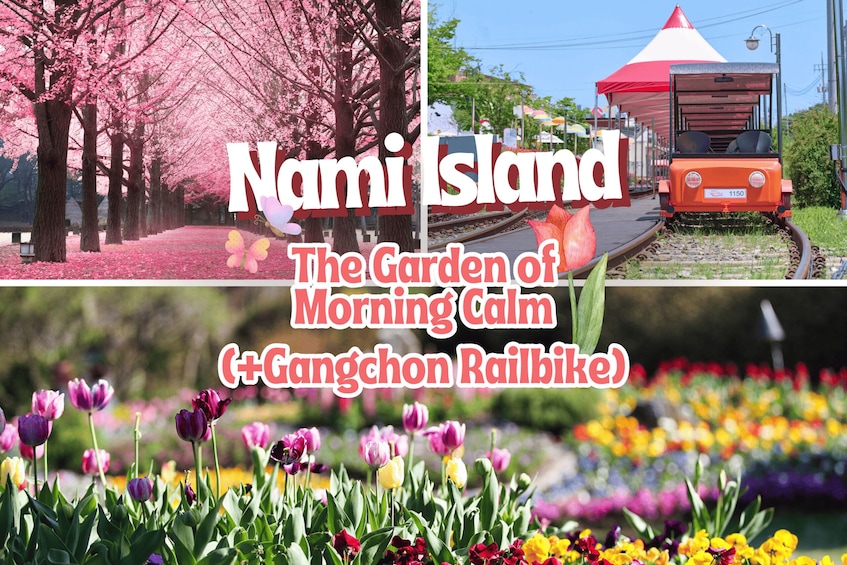 Seoul: Nami Island and Garden of Morning Calm (+Railbike)