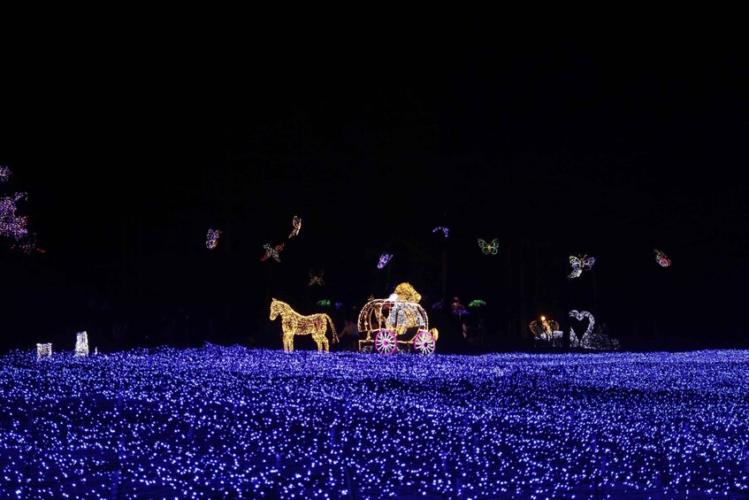 Picture 14 for Activity Seoul: Nami Island and Garden of Morning Calm (+Railbike)