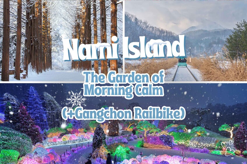 Seoul: Nami Island and Garden of Morning Calm (+Railbike)