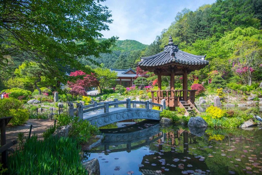 Picture 14 for Activity Seoul: Nami Island and Garden of Morning Calm (+Railbike)