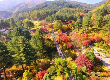 ソウル南怡島と朝凪の庭（＋レールバイク）