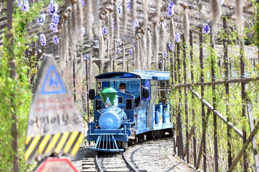 Picture 6 for Activity Seoul: Nami Island and Garden of Morning Calm (+Railbike)