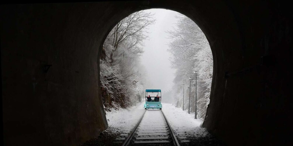 Picture 7 for Activity Seoul: Nami Island and Garden of Morning Calm (+Railbike)