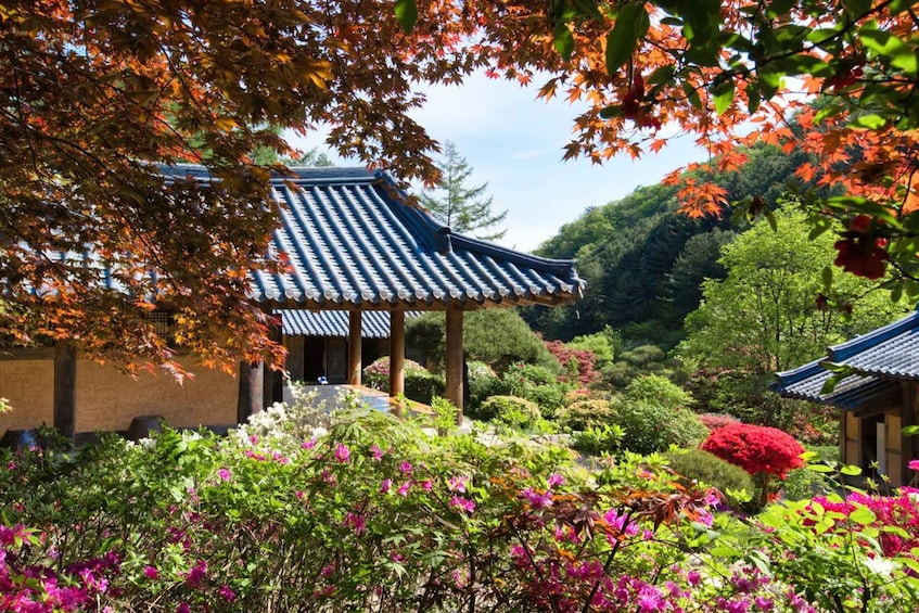 Picture 10 for Activity Seoul: Nami Island and Garden of Morning Calm (+Railbike)