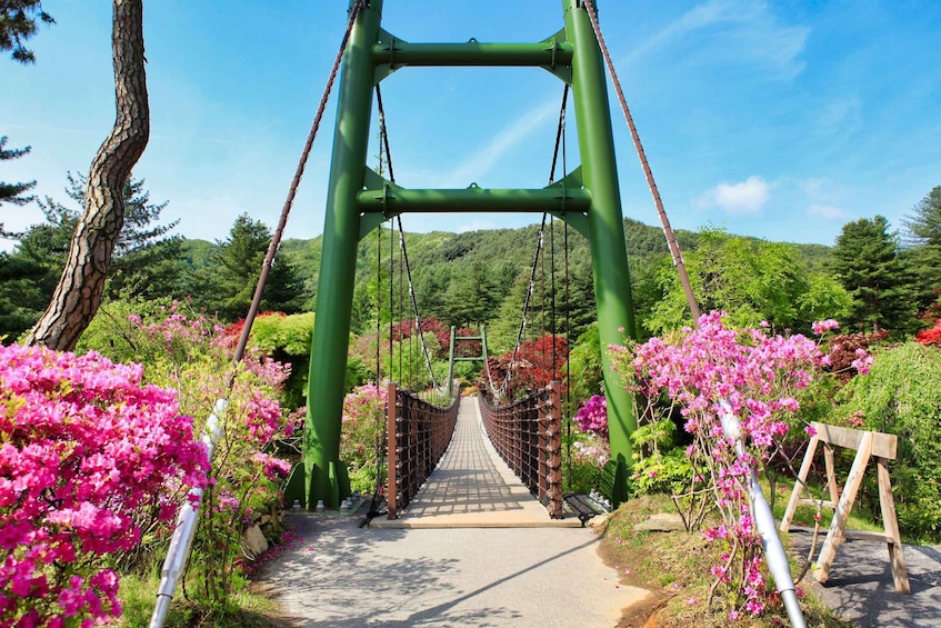 Picture 10 for Activity Seoul: Nami Island and Garden of Morning Calm (+Railbike)