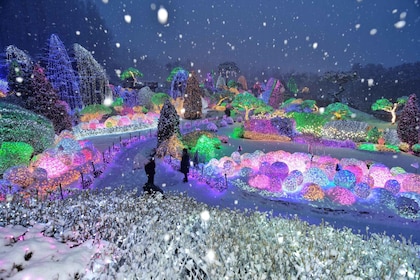 Seoul: Nami Island and Garden of Morning Calm opt Railbike