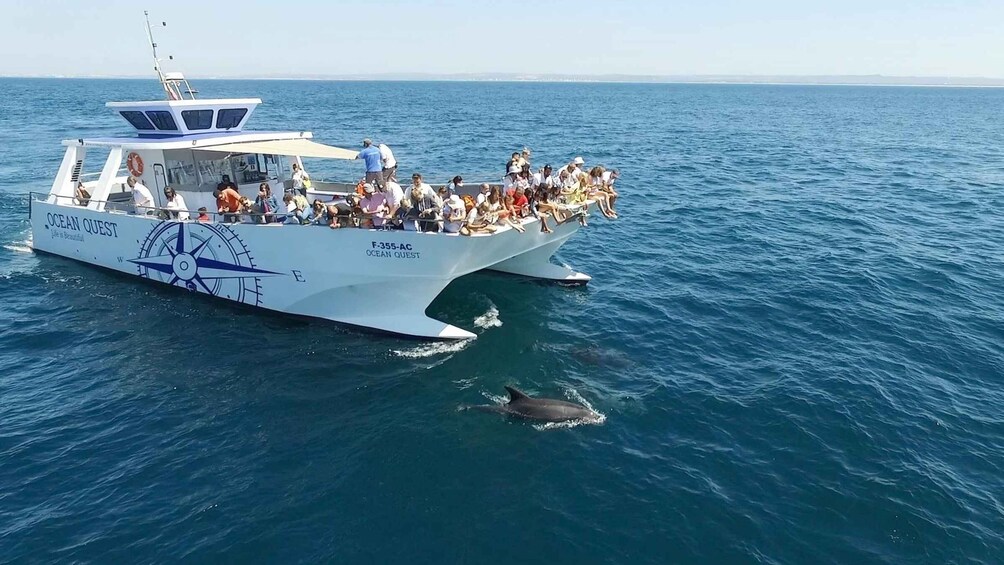 Picture 1 for Activity Vilamoura: Boat Tour Dolphin Quest