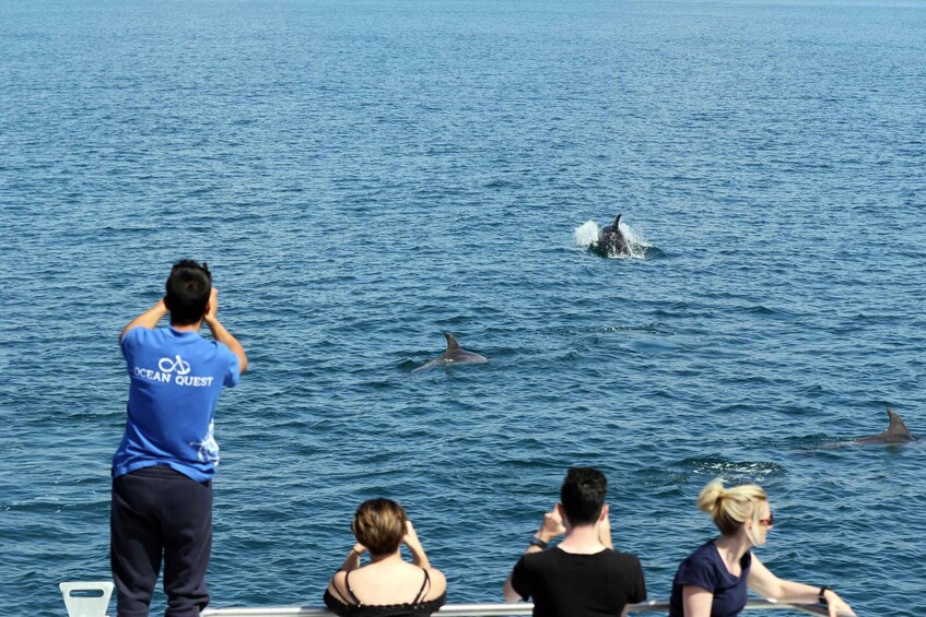 Picture 4 for Activity Vilamoura: Boat Tour Dolphin Quest