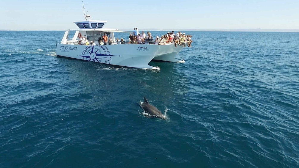Vilamoura: Boat Tour Dolphin Quest