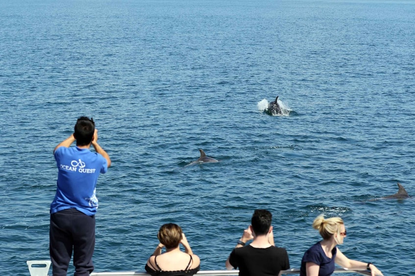 Picture 4 for Activity Vilamoura: Boat Tour Dolphin Quest