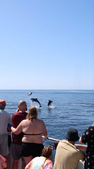 Picture 1 for Activity Vilamoura: Boat Tour Dolphin Quest